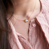 Pink Shell