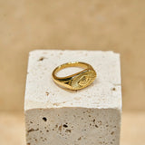 Guardian Eye