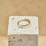Golden Pearl Dot